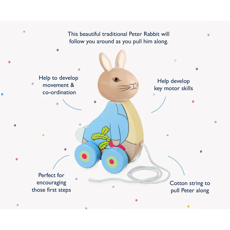 Peter Rabbit™ Pull Along – Wishfairy